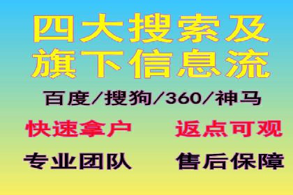 行业领先企业的SEM代运营成功之路